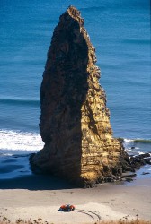 Sea Stack And Dune Bugy In Oregon