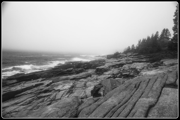 Maine coast fogbw